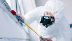 Best Commercial Pest Control  in Brentwood, MO